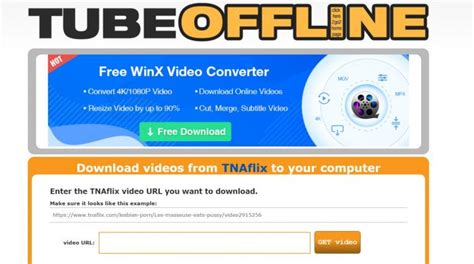 The best T'nAflix downloader online .